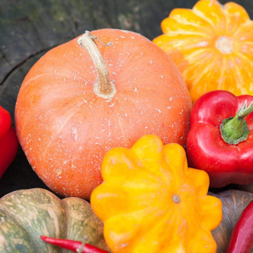 Zucca e non solo: le verdure di ottobre