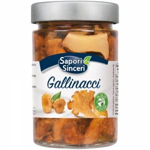 Gallinacci